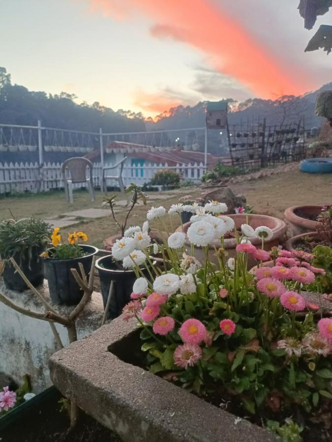 Mohraj Home Stay Bhowali Exterior photo